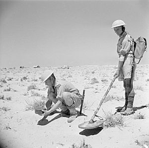 MINE DETECTOR IN NORTH AFRICA 1942