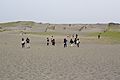 Nakatajima sand dunes