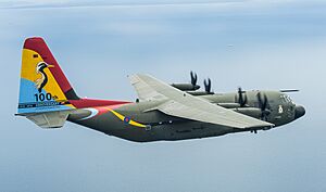 Number 47 Squadron Centenary Tail Art (9)