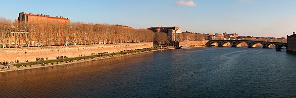 Panorama Quais & Pont Neuf Toulouse