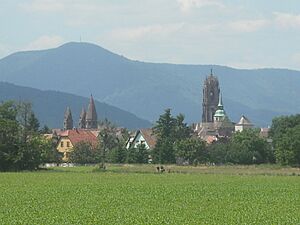 Panorama Sélestat 2