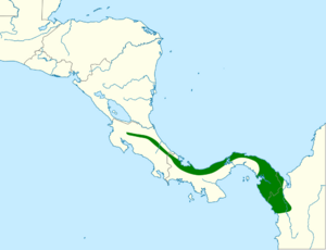 Pittasoma michleri map.svg