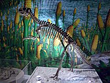 Psittacosaurus mongoliensis skeleton