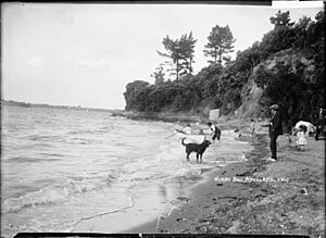 Rowboat at Herne Bay, Auckland (21474578698)