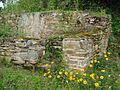 Ruins and flowers 3
