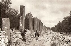 Ruins of Samaria