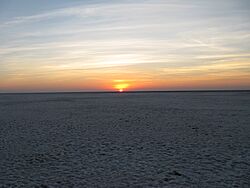 Safed Rann, Kutch.jpg