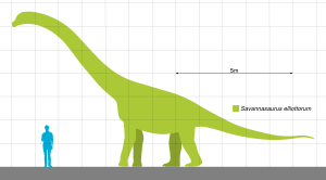 Savannasaurus Scale