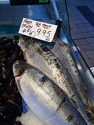 Sea trout (Sewin) for sale at Swansea Market