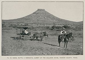 Signal Mountain TX 1900