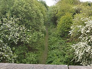 Site of Bolsover Castle station in 2021