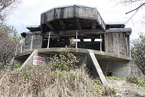 Southern gun emplacement from east (2013).jpg
