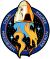 SpaceX Crew-3 logo.svg