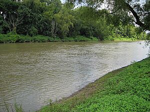 St Francis River Parkin AR 2012-05-27 008
