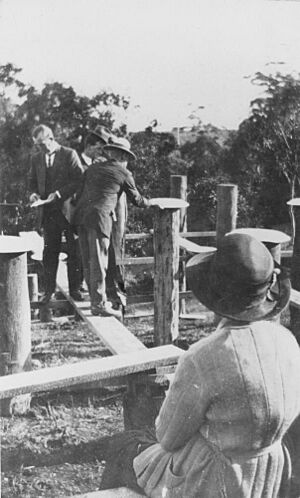 StateLibQld 1 162159 Stump capping ceremony during the construction of the Bald Knob Public Hall, 1924