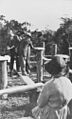 StateLibQld 1 162159 Stump capping ceremony during the construction of the Bald Knob Public Hall, 1924