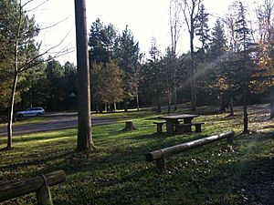 The Car Park At Bourne Woods