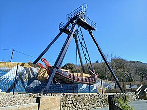 The Jolly Robin swinging ship
