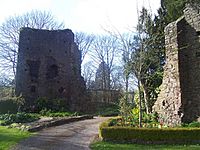 Tiverton , Tiverton Castle Ruins - geograph.org.uk - 1272097
