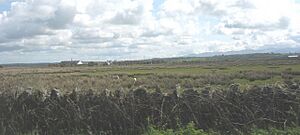 View across Malltraeth Marsh towards Pen-y-Bont Farm - geograph.org.uk - 808877