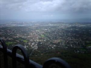 View from Victoria Rock Lookout