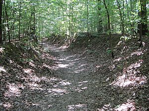 Village Creek State Park Wynne AR 51