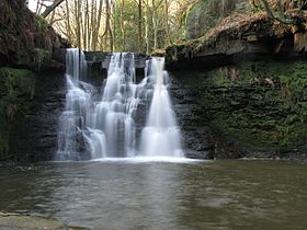 Waterfall, Harden Beck - geograph.org.uk - 387252.jpg