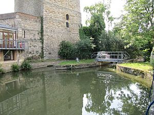Weir by the tower - geograph.org.uk - 1386046