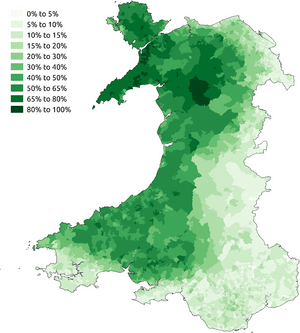 Welsh speakers in the 2011 census