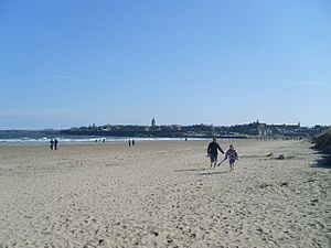 West Sands Beach, St Andrews - geograph.org.uk - 1803950