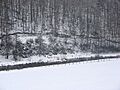Whiteadder Water - geograph.org.uk - 337163