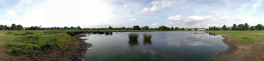 WimbledonCommon5