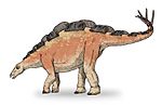Wuerhosaurus sketch2
