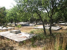 Брат кладбище братские могилы
