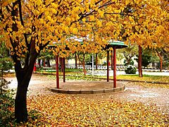 نمایی پاییزی از قم ، بوستان هاشمی
