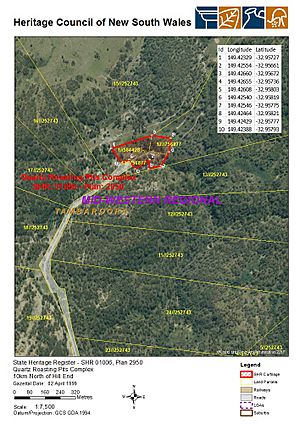 1006 - Quartz Roasting Pits Complex - SHR Plan No 2950 (5051458b100).jpg