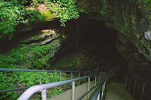 A558, Mammoth Cave National Park, Kentucky, USA, 1998