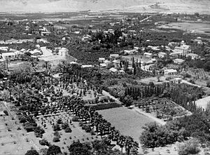 AN AERIAL PHOTO OF JERICHO. צילום אויר של יריחו.D332-058