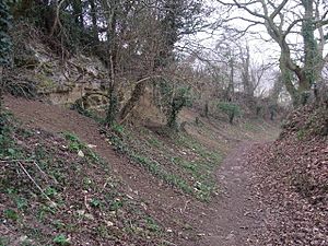 A 'holloway' track from the R. Evenlode to Stonesfield (geograph 2831647).jpg