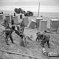 Allied Forces in the United Kingdom 1939-45 H5493