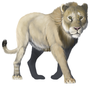 American lion National Park Service illustration.png