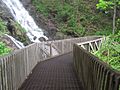 Amicalola Falls trail bridge