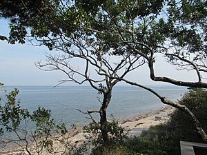 Beach, Ellisville Harbor State Park, Ellisville MA