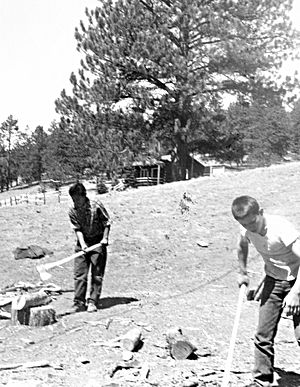 Boys chopping wood, 1963 (16460035053)