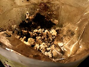 Burnt popcorn from a microwave