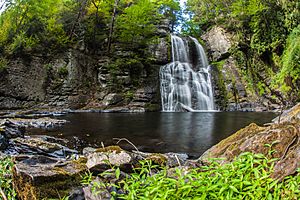 Bushkill Falls, Pennsylvania (14953778802)
