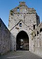 Cahir Priory of St. Mary Choir and Tower 2012 09 05