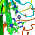 Carbonic anhydrase 1CA2 active site