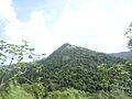 Cerro del Diablo, Bo. Tibes, Ponce, Puerto Rico, visto desde la PR-10, mirando al este (DSC01738)
