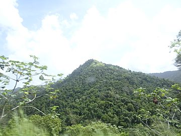 Cerro del Diablo, Bo. Tibes, Ponce, Puerto Rico, visto desde la PR-10, mirando al este (DSC01738).jpg